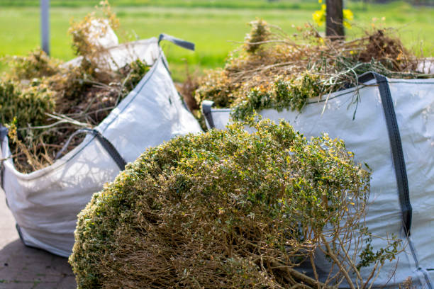 Best Same-Day Junk Removal Services  in Ovid, MI