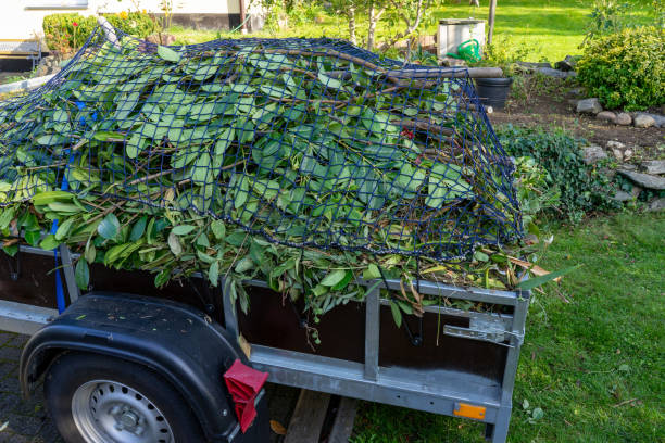 Best Furniture Removal  in Ovid, MI